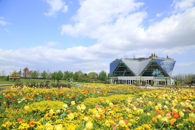 pixta_30388551_S