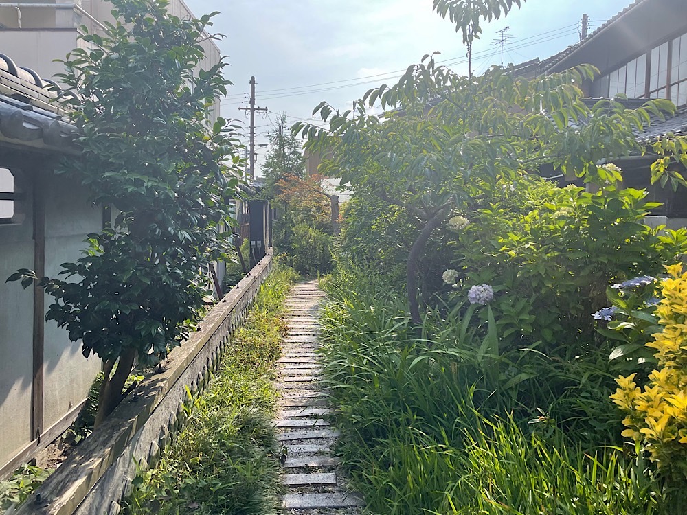 S__11083789_0
