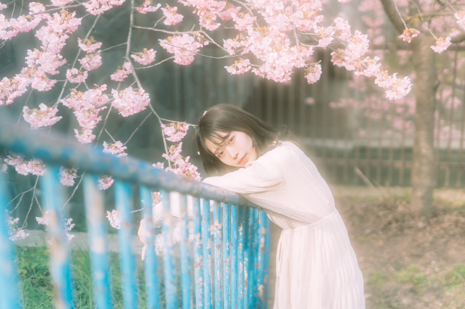 4620693218549204070.30c633305e90ea25625db350cad707e2.20030411